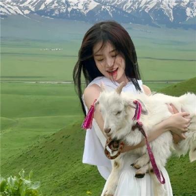 反诈风暴之情爱迷局